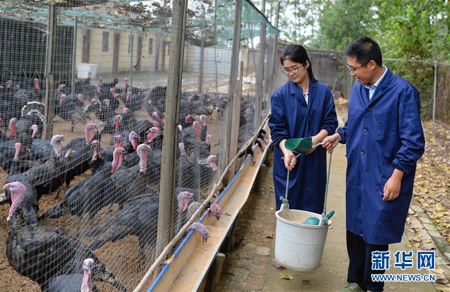 (新華全媒頭條·兩會特別報道·圖文互動)(4)凝聚不懈奮斗的磅礴力量——從全國兩會看奮進中國的奮斗姿態