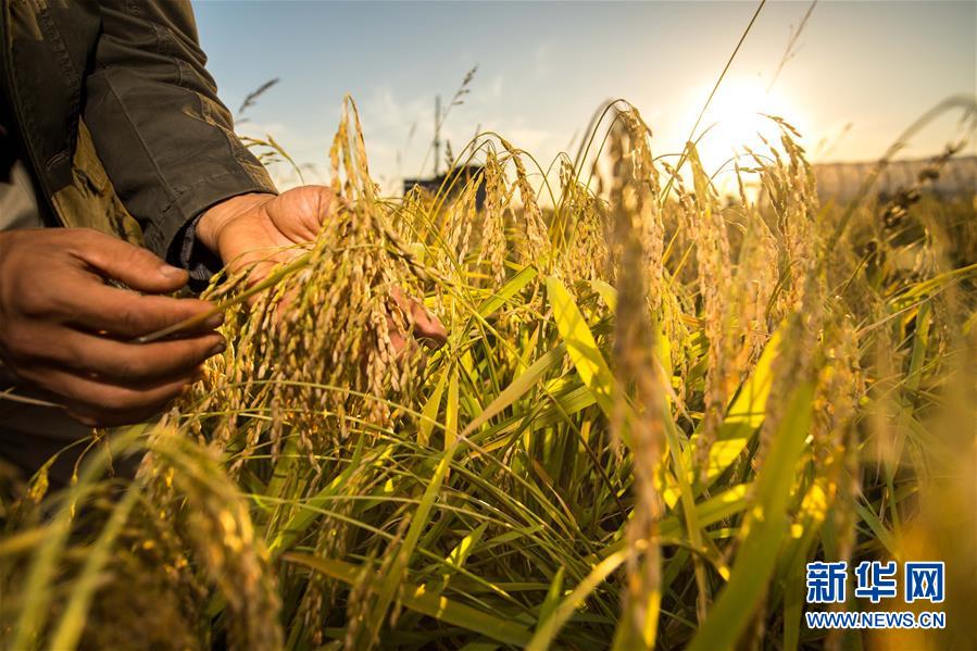 (新華全媒頭條·圖文互動(dòng))(5)上下同心再出發(fā)——習(xí)近平總書(shū)記同出席2019年全國(guó)兩會(huì)人大代表、政協(xié)委員共商國(guó)是紀(jì)實(shí)