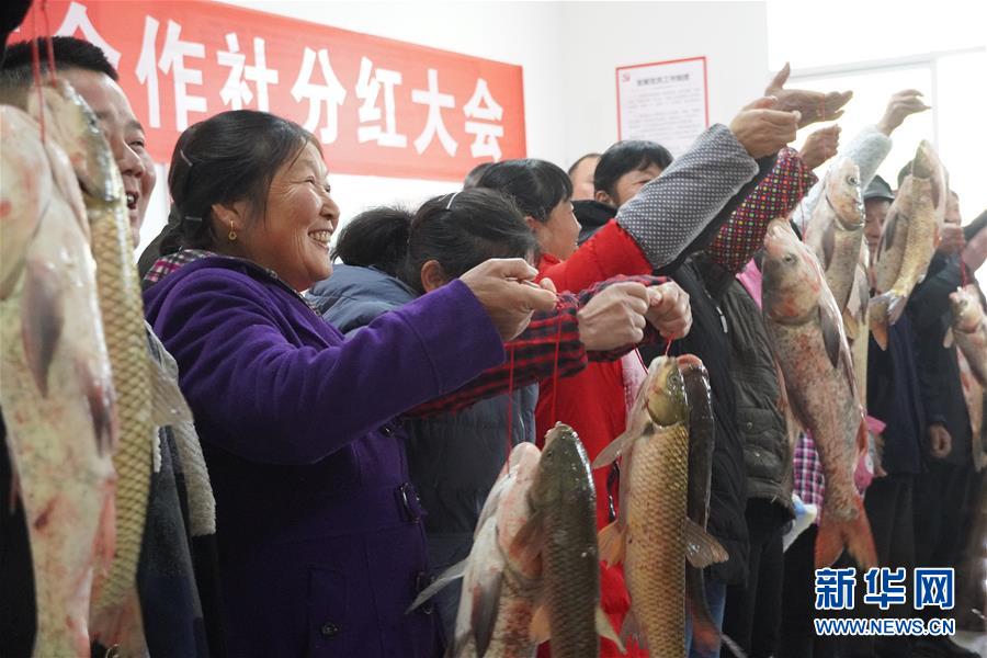 (新春走基層·圖文互動(dòng))(3)“空殼村”分紅啦!