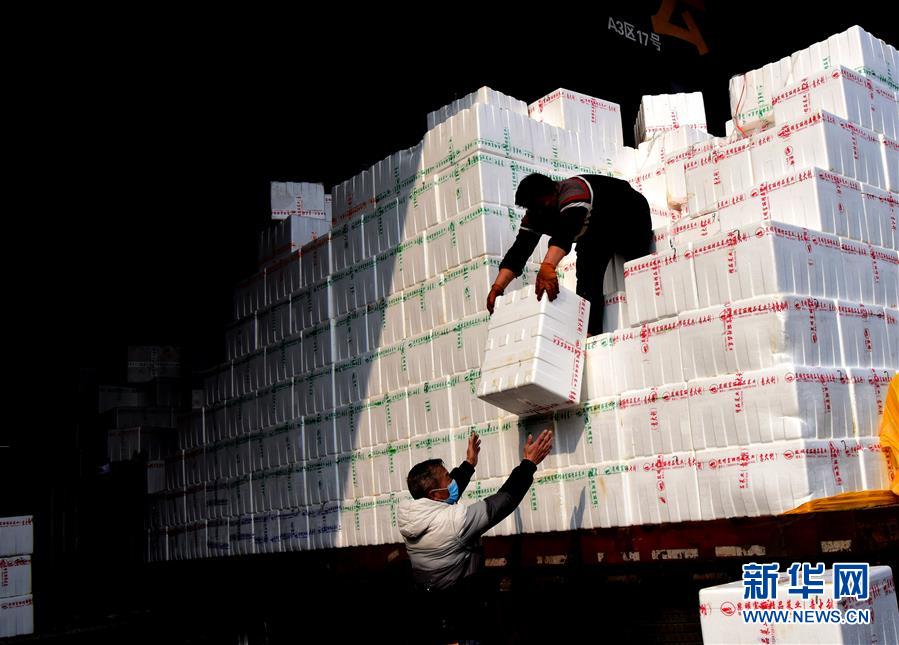 (聚焦疫情防控·圖文互動)(4)吃的東西充足,做點花樣菜吧!——中部地區最大農產品批發市場見聞