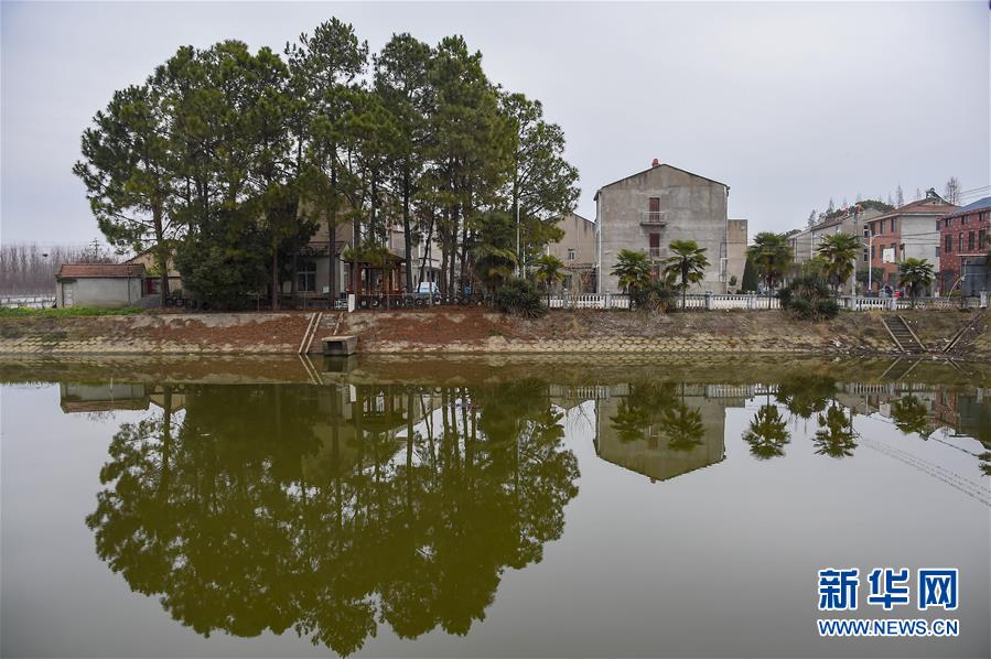 (聚焦疫情防控·圖文互動)(3)一個湖北村莊的阻擊戰