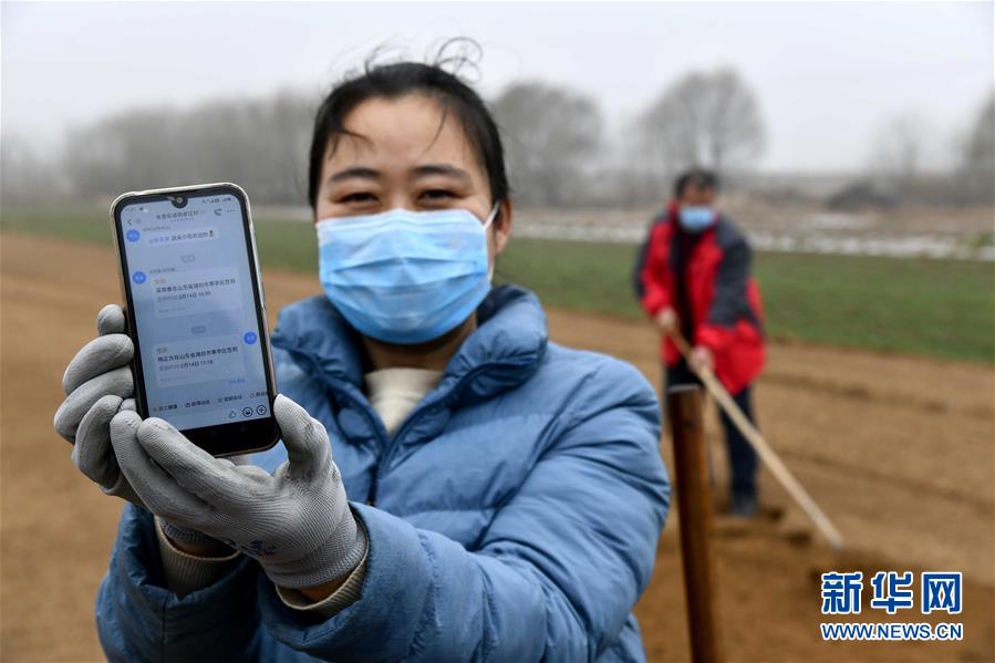 (圖文互動(dòng))(2)別樣的春耕——來(lái)自農(nóng)業(yè)大省山東的春耕備耕見聞
