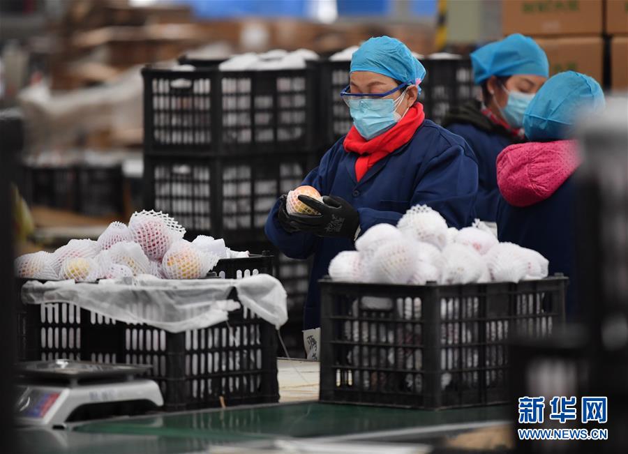 (聚焦疫情防控·圖文互動)(4)“一輛輛車出發,春暖花開的日子就不遠了”——西北電商大縣陜西省武功縣復工見聞