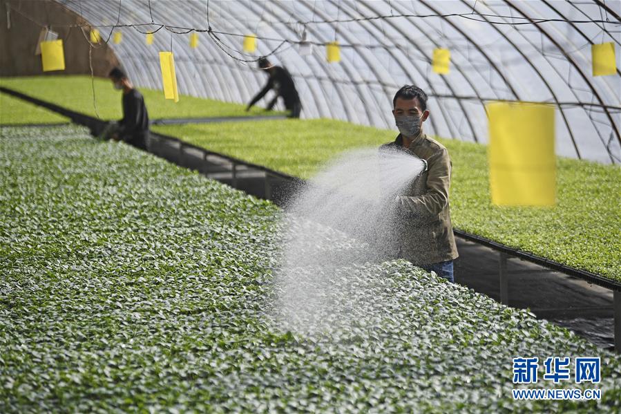 （新華全媒頭條·圖文互動）（12）磨難壓不垮 奮起正當時——習近平總書記在統籌推進新冠肺炎疫情防控和經濟社會發展工作部署會議上的重要講話振奮人心凝聚力量
