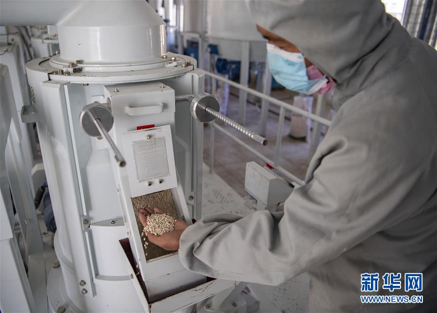 (新華全媒頭條·圖文互動)(7)血脈同心 共盼春來——疫情阻擊戰中的雪域故事