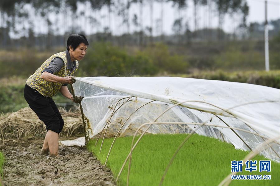 （圖文互動(dòng)）（2）“早一天復(fù)工，損失就少一點(diǎn)”——廣西以精準(zhǔn)防控推動(dòng)復(fù)工復(fù)產(chǎn)一線見聞