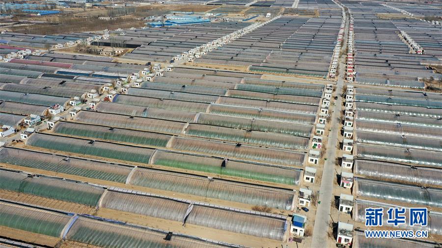 (在習近平新時代中國特色社會主義思想指引下——新時代新作為新篇章·習近平總書記關切事·圖文互動)(4)戰“疫”戰“貧”都要贏——脫貧攻堅一線打響兩場硬仗