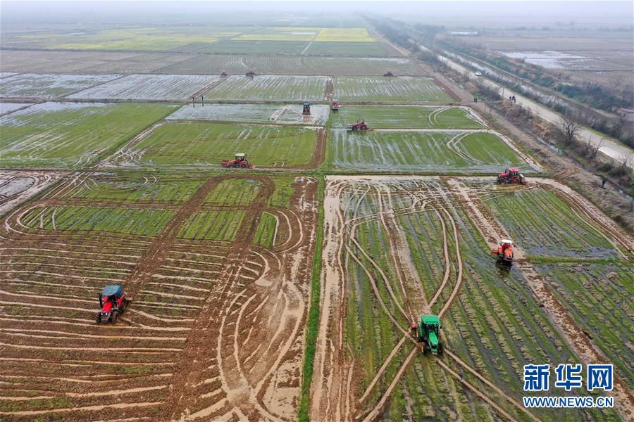 （抓好春耕備耕 穩住農業生產&middot;圖文互動）（2）智能農機、&ldquo;訂單&rdquo;服務、&ldquo;云端&rdquo;種菜&mdash;&mdash;來自江西的春耕&ldquo;新事&rdquo;