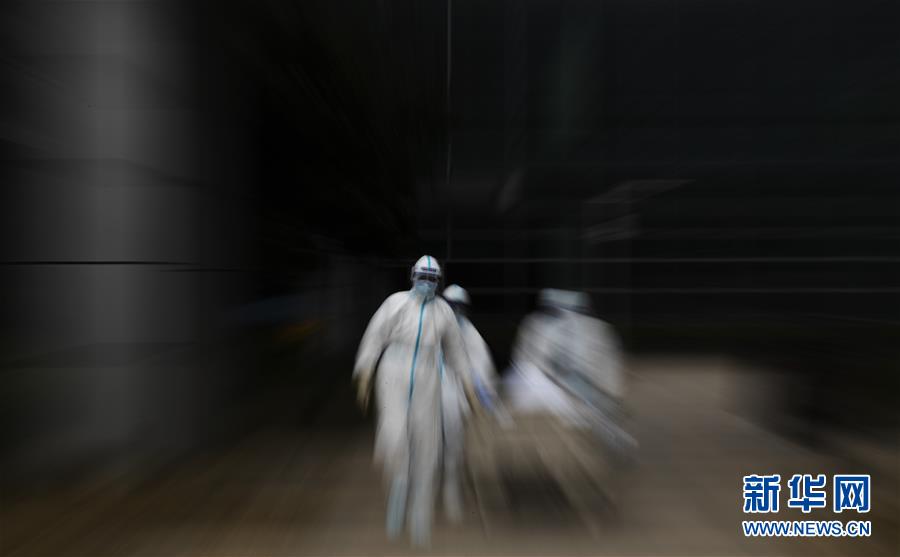 (聚焦疫情防控·圖文互動(dòng))(13)這個(gè)春天,期待已久