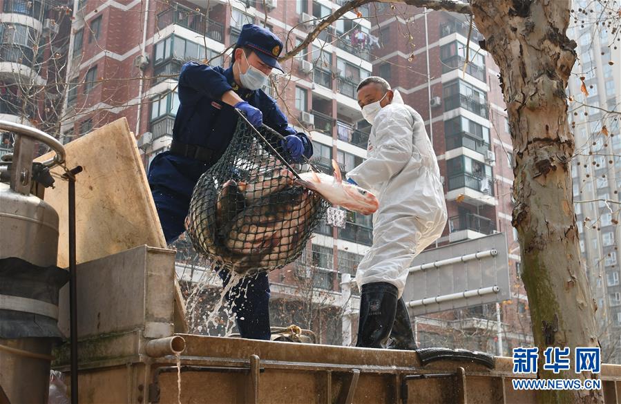 （聚焦疫情防控）（3）咸寧為武漢加&ldquo;魚&rdquo;