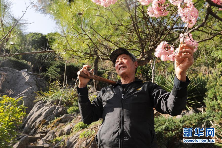 (圖文互動)(1)湖北巴東迎春農場春管忙