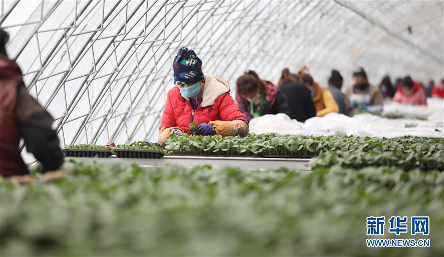 （新華全媒頭條&middot;圖文互動(dòng)）（3）春色最濃在田間&mdash;&mdash;來(lái)自全國(guó)春耕備耕的現(xiàn)場(chǎng)觀(guān)察