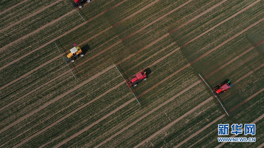 （新華全媒頭條&middot;圖文互動(dòng)）（5）春色最濃在田間&mdash;&mdash;來(lái)自全國(guó)春耕備耕的現(xiàn)場(chǎng)觀(guān)察