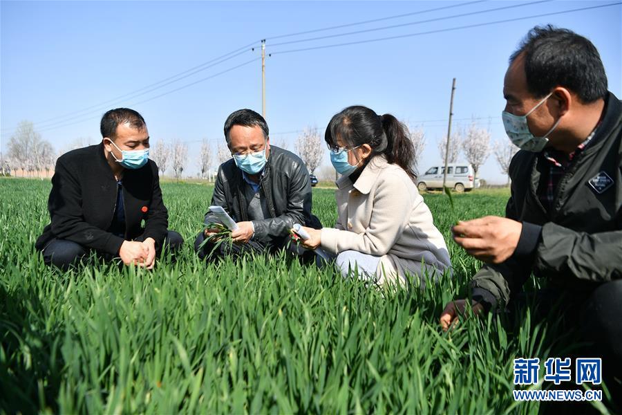 （新華全媒頭條&middot;圖文互動(dòng)）（8）春色最濃在田間&mdash;&mdash;來(lái)自全國(guó)春耕備耕的現(xiàn)場(chǎng)觀(guān)察