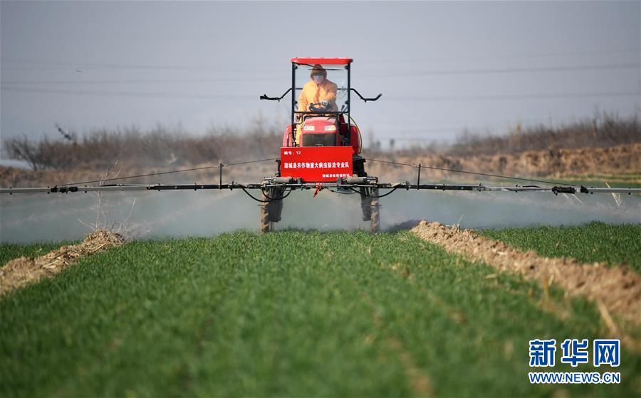 （新華全媒頭條&middot;圖文互動(dòng)）（9）春色最濃在田間&mdash;&mdash;來(lái)自全國(guó)春耕備耕的現(xiàn)場(chǎng)觀(guān)察