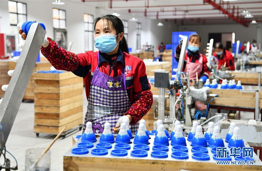 (決戰(zhàn)決勝脫貧攻堅(jiān)·圖文互動(dòng))(6)天然“寶貝”促增收——貴州錦屏縣培育扶貧產(chǎn)業(yè)見聞