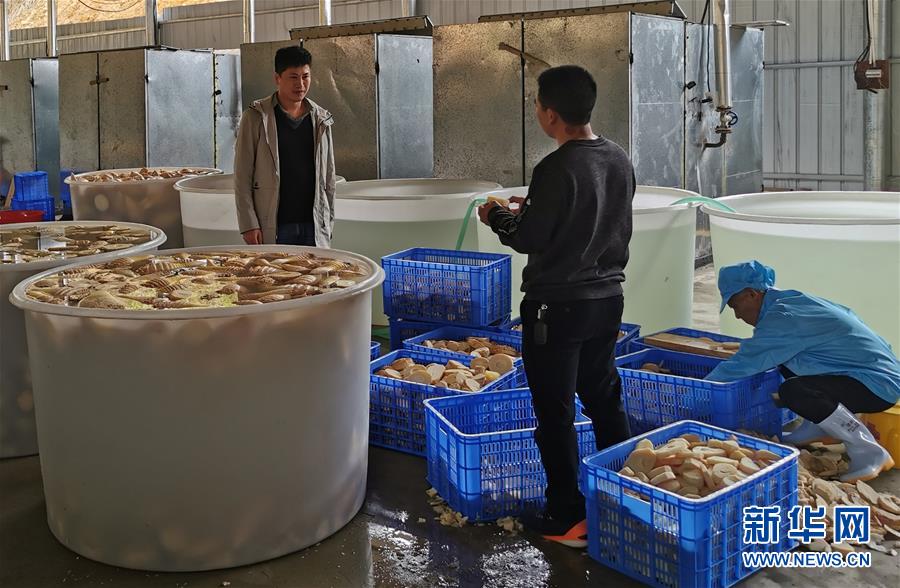 （決戰決勝脫貧攻堅·圖文互動）掛牌督戰，一個都不能少——江西確保剩余9.6萬貧困人口全部脫貧