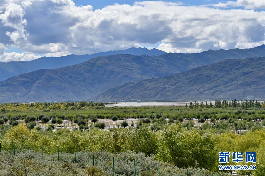 (圖文互動)(4)“今天的生活,就像夢里夢到那樣甜”——寫在西藏百萬農(nóng)奴解放61周年之際
