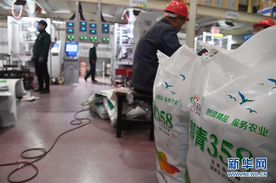 (抓好春耕備耕 穩住農業生產·圖文互動)(5)走向泥土是我們的終極夢想——一粒種子的自述