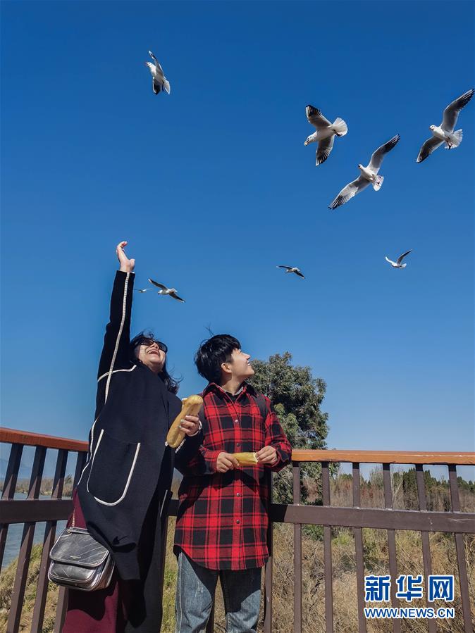 (一線抗疫群英譜·圖文互動)(1)大學生志愿者譚藝西:在武漢,我和媽媽共戰“疫”