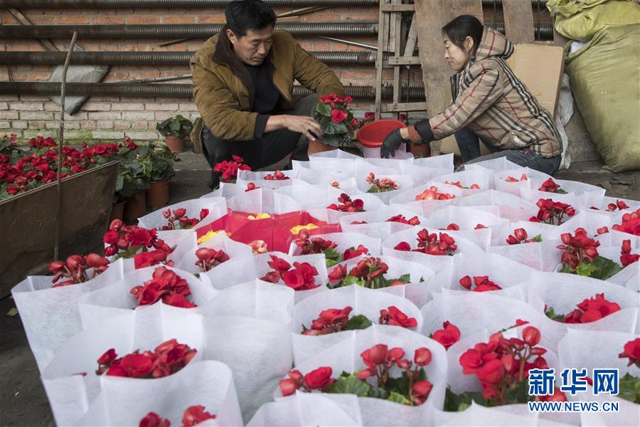 (在習近平新時代中國特色社會主義思想指引下——新時代新作為新篇章·習近平總書記關切事·圖文互動)(1)希望的田野,希望的春天——各地農業生產新動態掃描