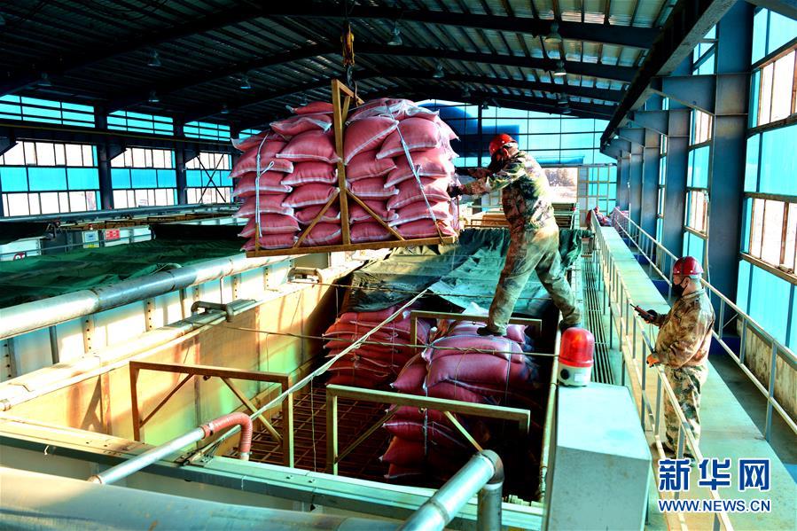 (在習近平新時代中國特色社會主義思想指引下——新時代新作為新篇章·習近平總書記關切事·圖文互動)(6)希望的田野,希望的春天——各地農業生產新動態掃描