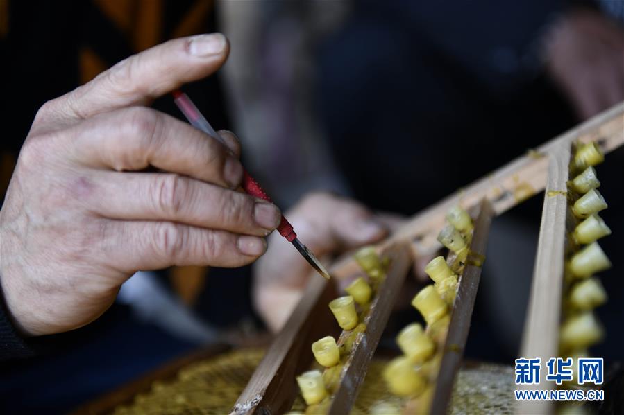 (決戰決勝脫貧攻堅·圖文互動)(4)一位農民的產業扶貧成績單