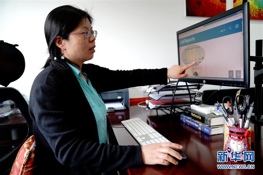 (圖文互動)(1)攻擊行為如何被大腦控制?科學家在小鼠大腦中發現“調節開關”