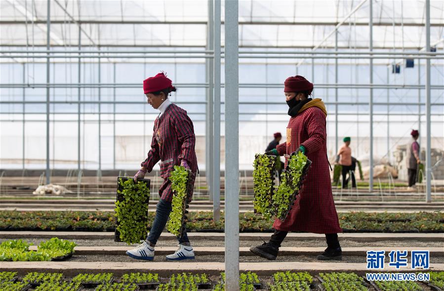 (新華全媒頭條·圖文互動)(9)踐諾大涼山