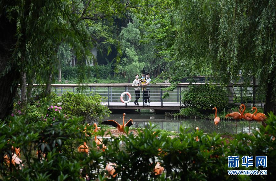 （在習近平新時代中國特色社會主義思想指引下——新時代新作為新篇章·習近平總書記關切事·圖文互動）（8）疫情防控不減壓　復工復產正加速——武漢“解封”滿月觀察