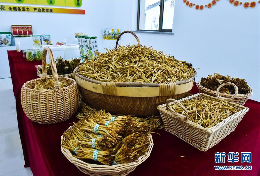 （新華全媒頭條·圖文互動）（3）初夏，循著總書記的腳步探訪產業扶貧新事