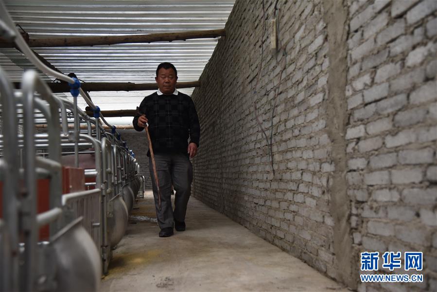 （新華全媒頭條&middot;圖文互動）（6）刺梨花開滿山紅&mdash;&mdash;記在貴州脫貧攻堅(jiān)一線奮斗的殘疾人