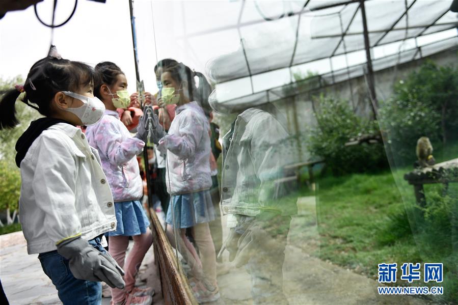 (圖文互動)(2)青海西寧:和野生動物們共度“六一”