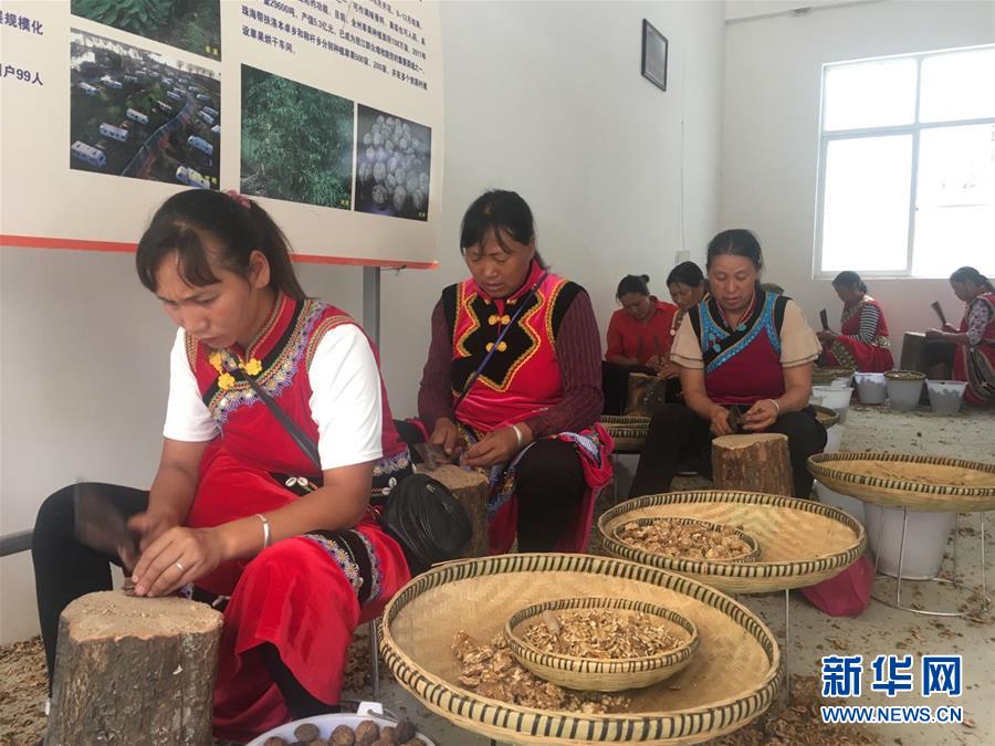 (新華全媒頭條·聚焦“三區三州”脫貧攻堅·圖文互動)(2)向深度貧困“堡壘”發起最后總攻——寫在“三區三州”脫貧攻堅關鍵時點