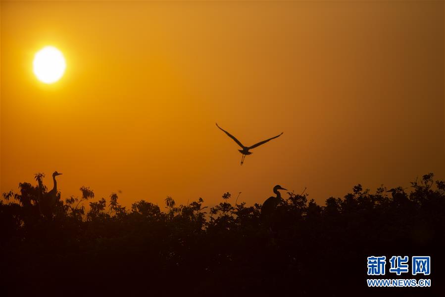 (新華全媒頭條·圖文互動)(1)大湖新歌——我國兩大淡水湖全面生態修復進行時