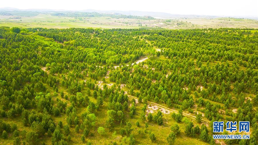 (新華全媒頭條·圖文互動)(8)京津最近“大沙盆”逆轉記