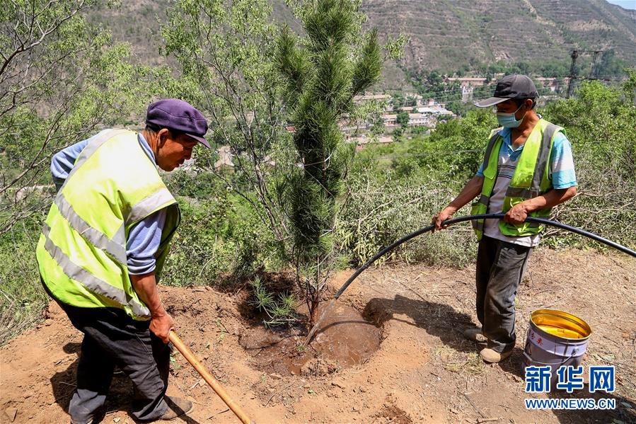 (圖文互動)(5)北京:治沙20載 逾854萬畝林海拒風沙