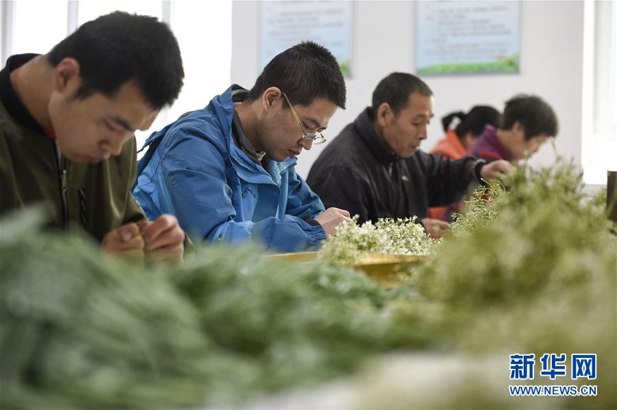 (在習(xí)近平新時(shí)代中國(guó)特色社會(huì)主義思想指引下——新時(shí)代新作為新篇章·習(xí)近平總書(shū)記關(guān)切事·圖文互動(dòng))(5)六盤(pán)山下的誓言——來(lái)自寧夏的脫貧故事