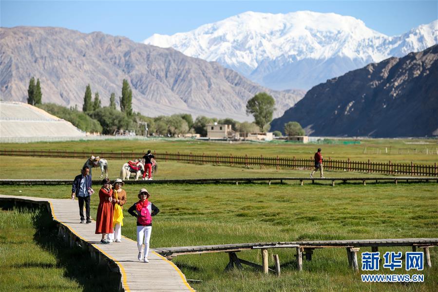 (新華全媒頭條·圖文互動(dòng))(15)飛吧,“帕米爾雄鷹”!