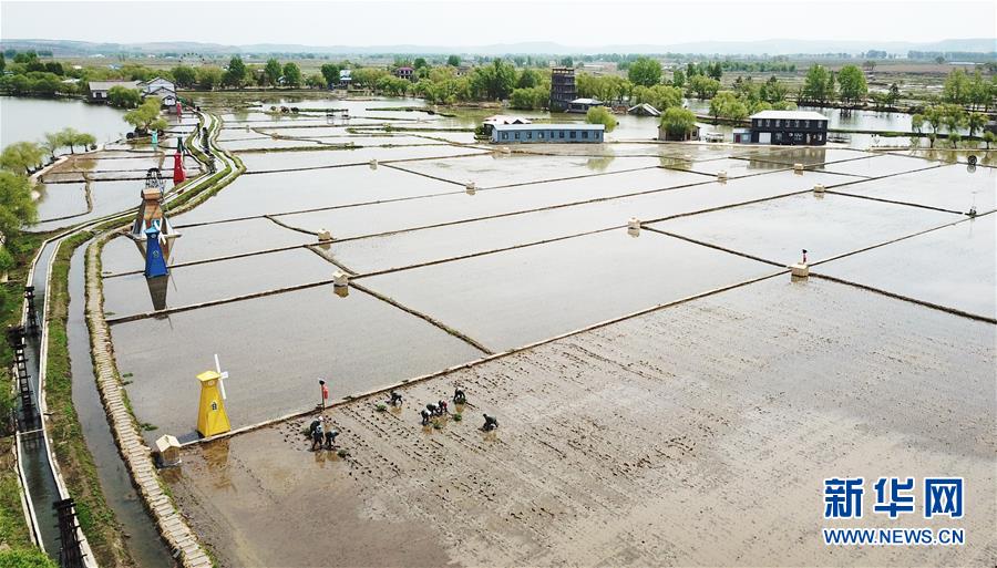 (在習(xí)近平新時(shí)代中國(guó)特色社會(huì)主義思想指引下——新時(shí)代新作為新篇章·習(xí)近平總書記關(guān)切事·圖文互動(dòng))(1)讓每一寸耕地都成為豐收的沃土——我國(guó)加強(qiáng)耕地保護(hù)推進(jìn)“藏糧于地”