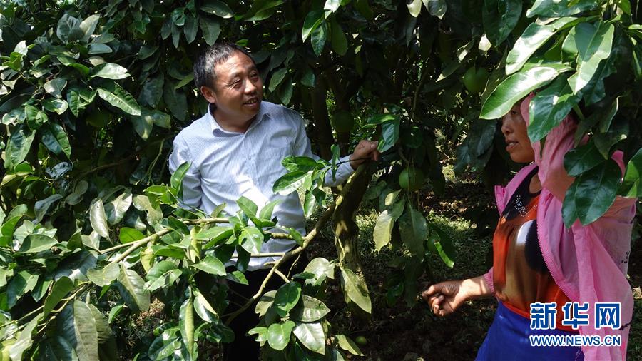 (新華網·決戰決勝脫貧攻堅·圖文互動)(1)貴州思南:強村帶弱村 “抱團”促增收