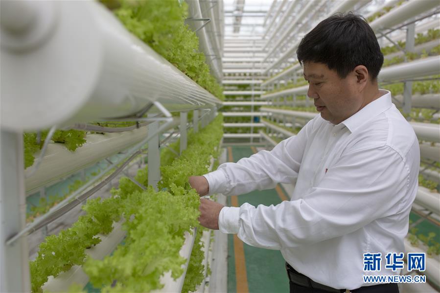 （新華全媒頭條·圖文互動）（1）十任“支書”一個(gè)夢