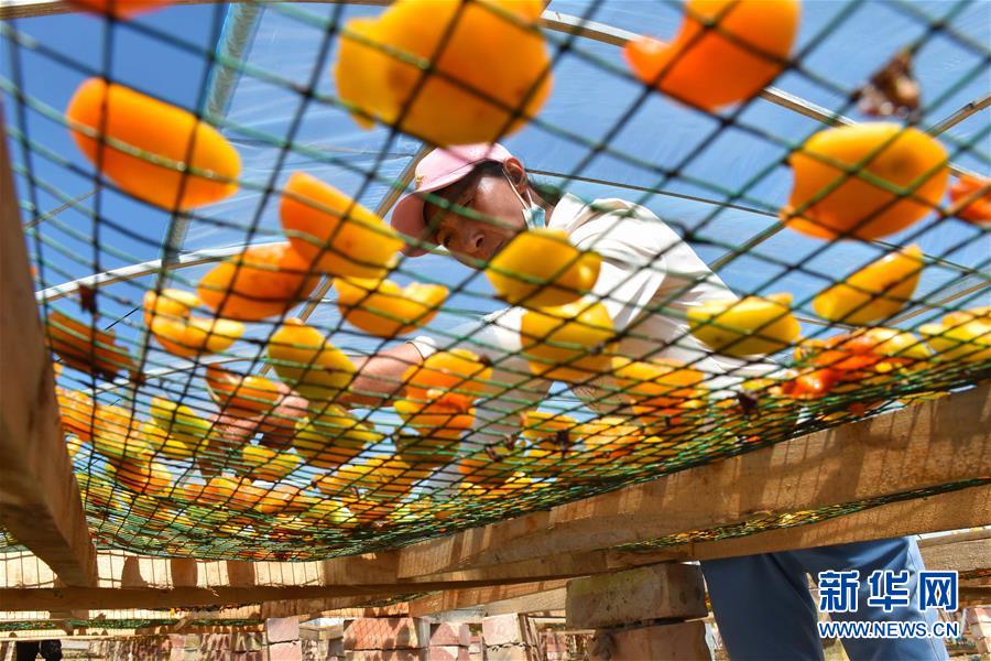 (決戰決勝脫貧攻堅·圖文互動)(1)新疆“杏鄉”:杏果飄香 走出深閨助脫貧