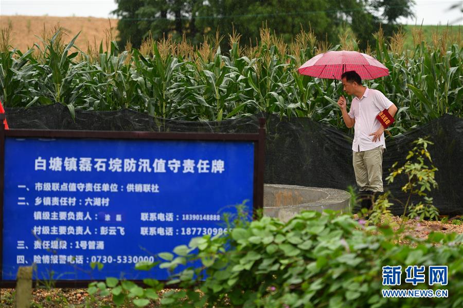 （防汛抗洪&middot;圖文互動）（1）&ldquo;險情不可怕，可怕的是不能及時發現險情&rdquo;&mdash;&mdash;洞庭湖巡堤查險現場直擊