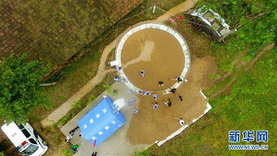 （防汛抗洪&middot;圖文互動）（2）&ldquo;險情不可怕，可怕的是不能及時發現險情&rdquo;&mdash;&mdash;洞庭湖巡堤查險現場直擊