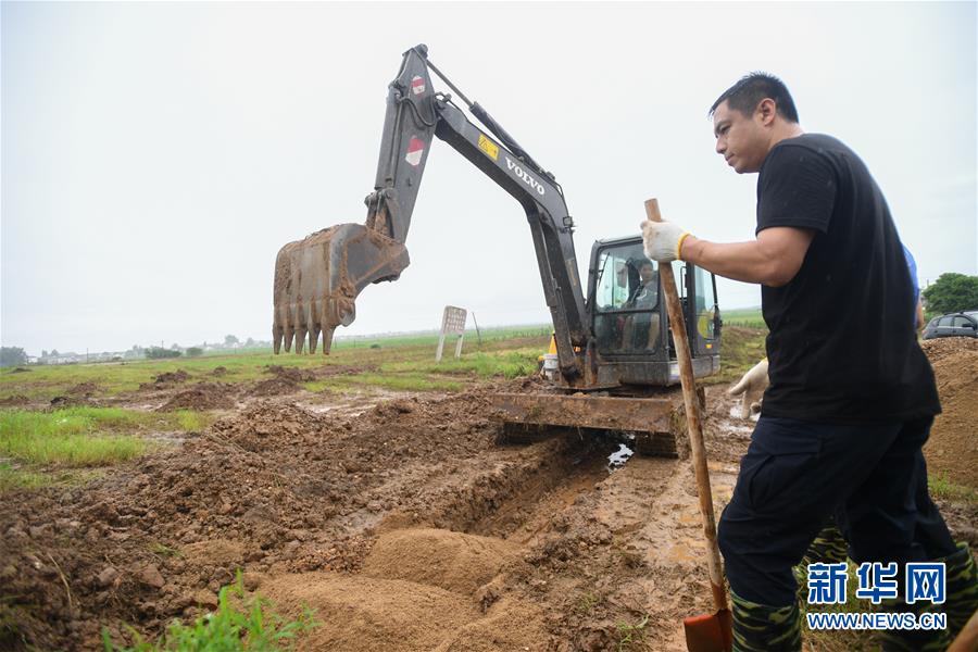 （防汛抗洪&middot;圖文互動）（3）&ldquo;險情不可怕，可怕的是不能及時發現險情&rdquo;&mdash;&mdash;洞庭湖巡堤查險現場直擊