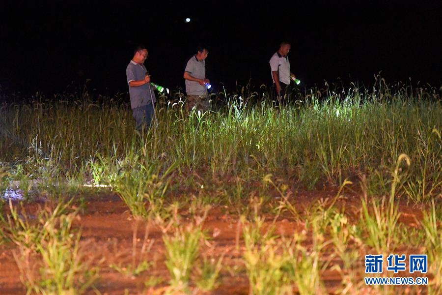 (防汛抗洪·圖文互動)(2)“保衛家園,誰都不能是旁觀者”——夜訪洞庭湖大堤防汛一線