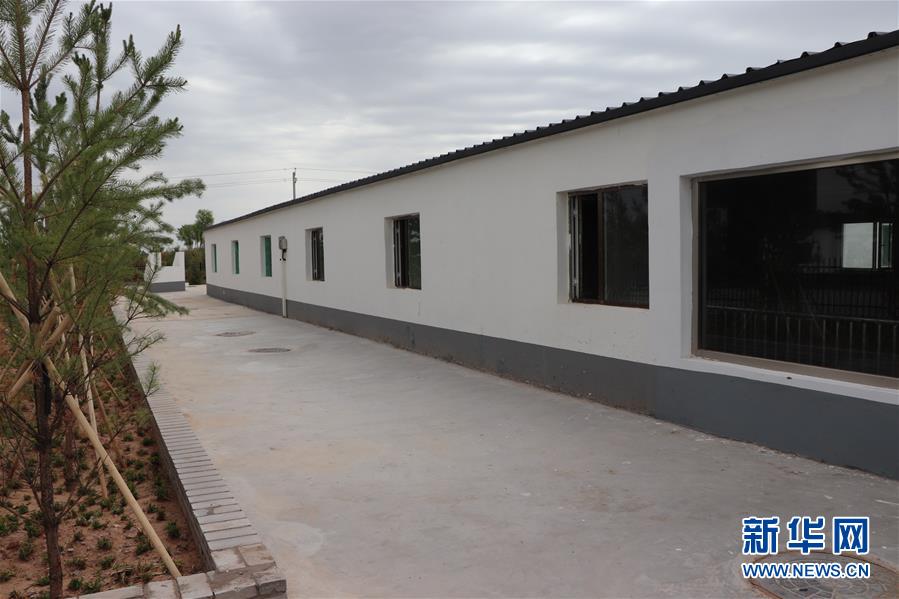 (鄉村振興·圖文互動)(2)內蒙古伊金霍洛旗:自家生豬基地養 環境好來收入旺