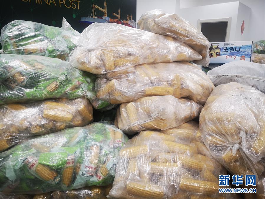 (落實(shí)“六穩(wěn)”“六保”一線(xiàn)見(jiàn)聞·圖文互動(dòng))(2)老煤城雙鴨山開(kāi)拓就業(yè)創(chuàng)業(yè)新領(lǐng)地