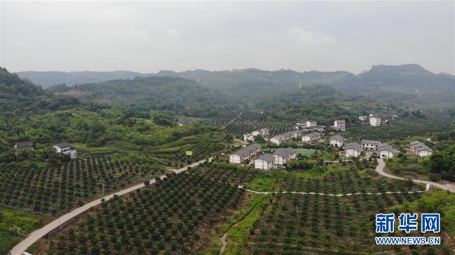 (走向我們的小康生活·圖文互動)(1)擺擺幸福鄉村的新鮮事兒